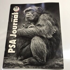 PSA Journal magazine January 2017